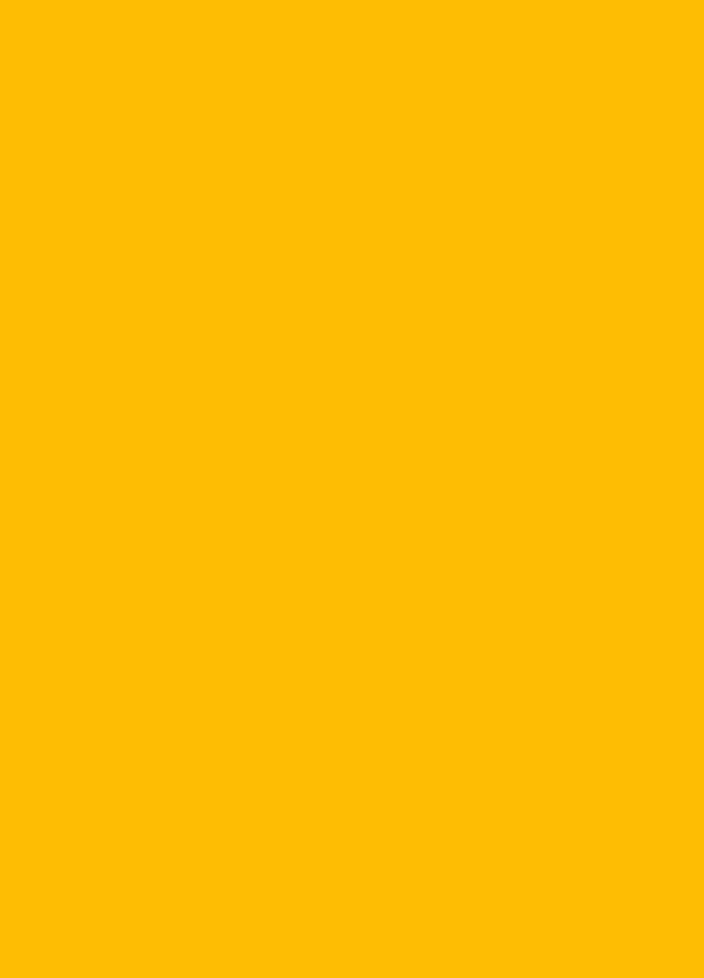 Фасады Фасад из акрила 021 Yellow (Желтый) на заказ в Армянске фотография