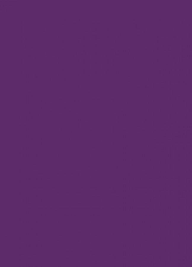 Фасады Фасад из акрила 040 Violet (Фиолетовый) на заказ в Армянске фотография