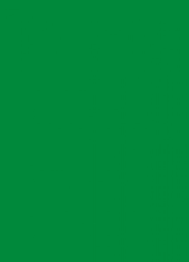 Фасады Фасад из акрила 062 Light green (Светло-зеленый) на заказ в Армянске фотография