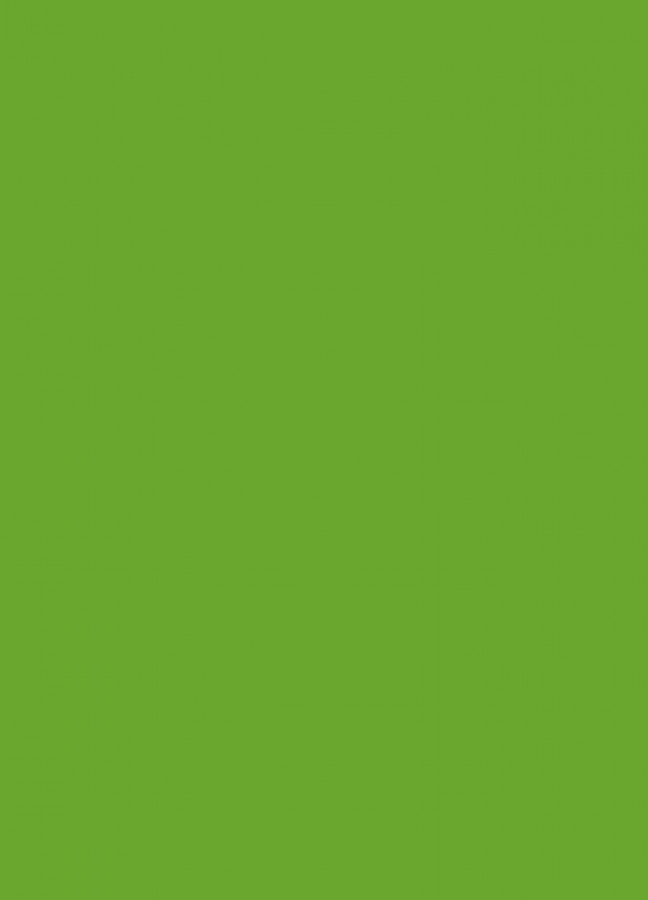 Фасады Фасад из акрила 063 Lime-tree green (Липово-зеленый) на заказ в Армянске фотография