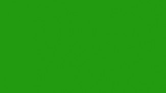  Фасад из акрила 064 Yellow green (Желто-зеленый)