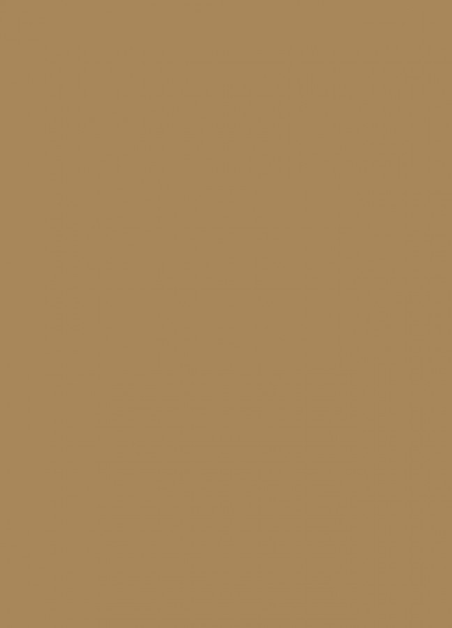 Фасады Фасад из акрила 081 Light brown (Светло-коричневый) на заказ в Армянске фотография